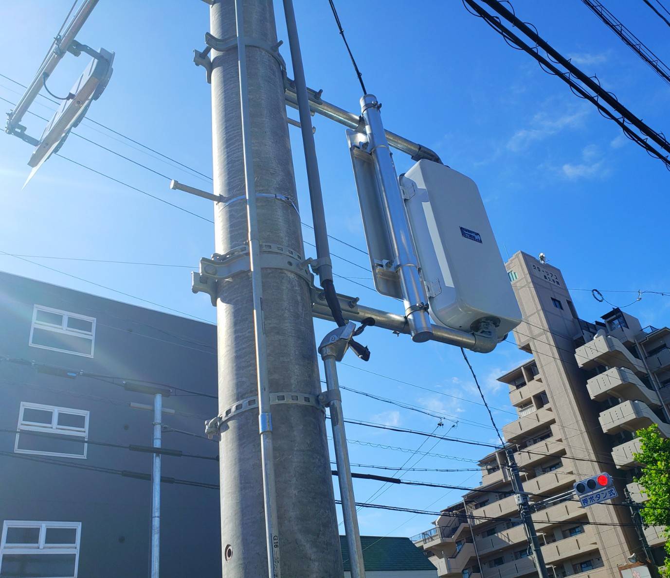 歩行者信号機 長久手市議会議員 山田けんたろう
